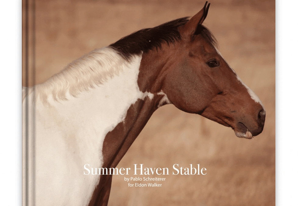 Summer Haven Stable 🇺🇸