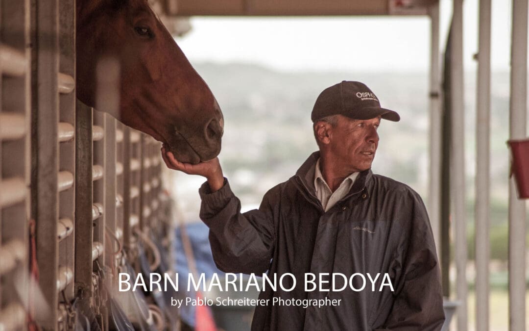 Mariano Bedoya Show Stable 🇺🇸