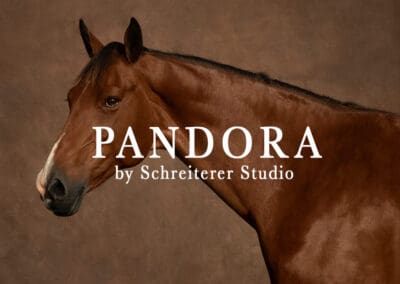 Pandora 🇺🇸