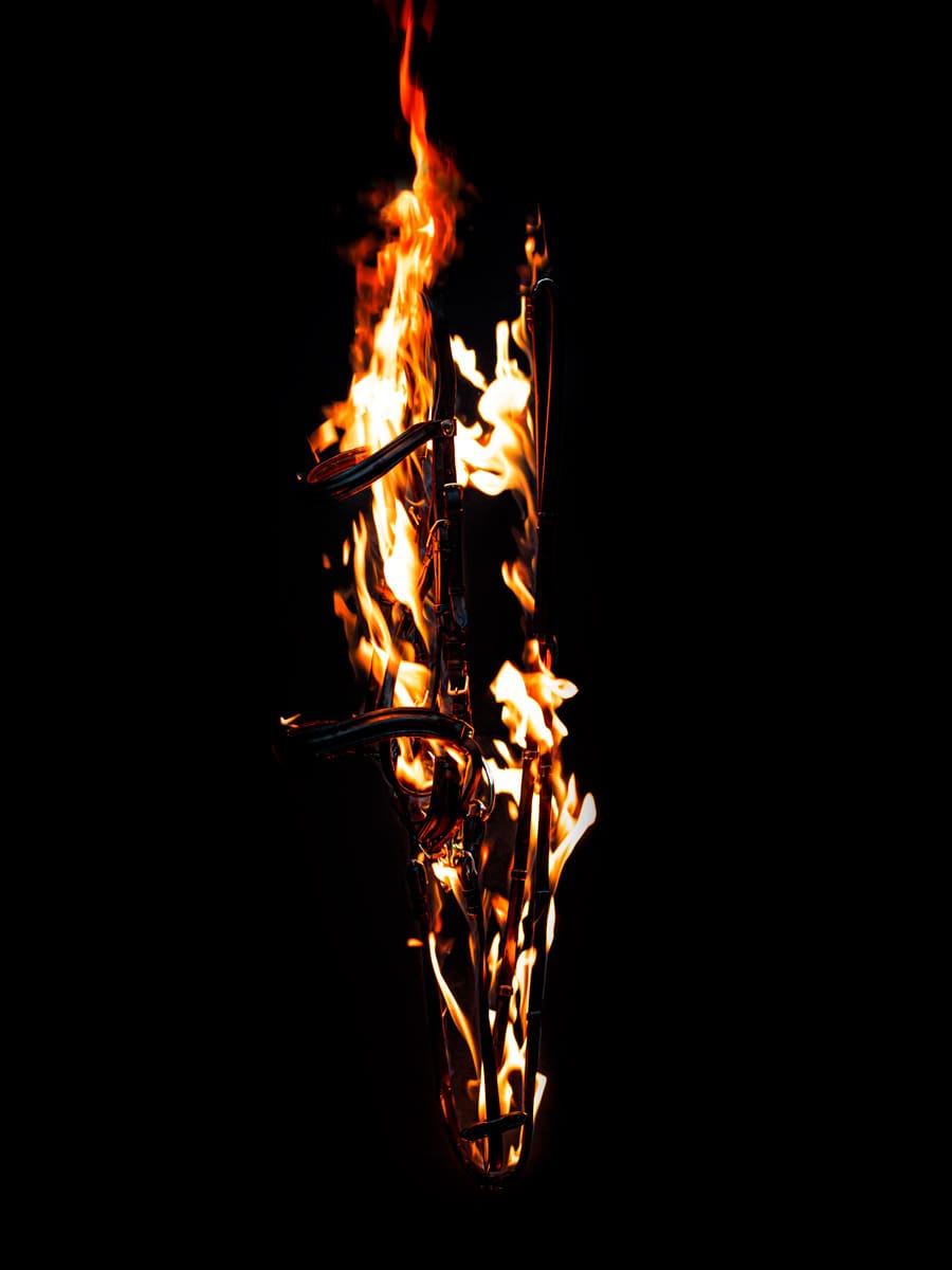 Fire Bridle 8 of 10